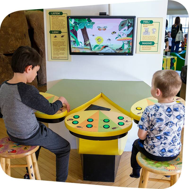 two children seated learning about insects.