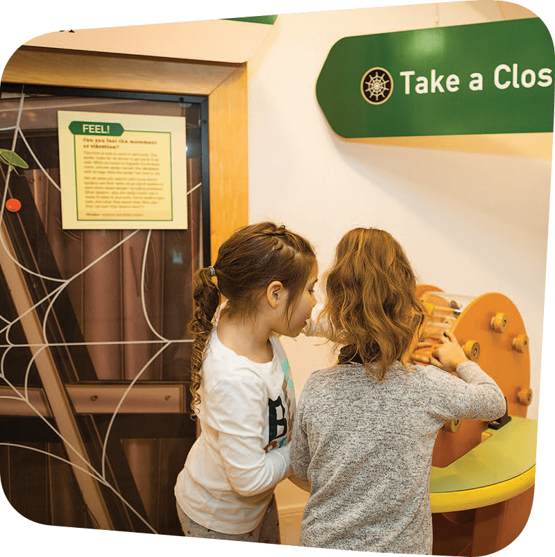 Two children examining an exhibit.