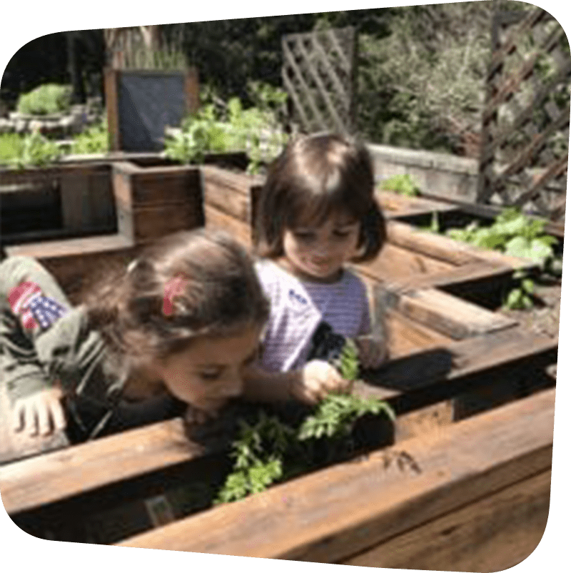 SICM_0009_Garden-Terrace-225x300 Children in garden outside