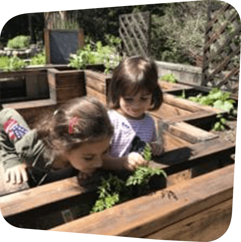 Children in garden outside