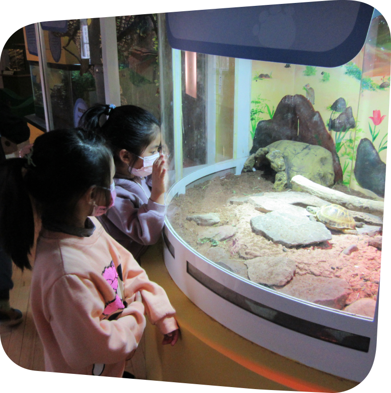 children looking at bug exhibit