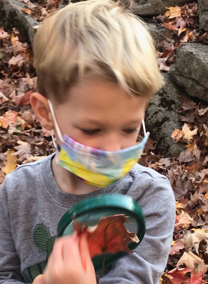 child examining a leaf