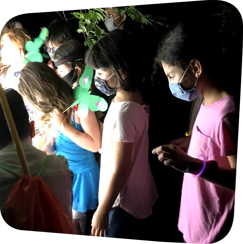 children studying moths at night