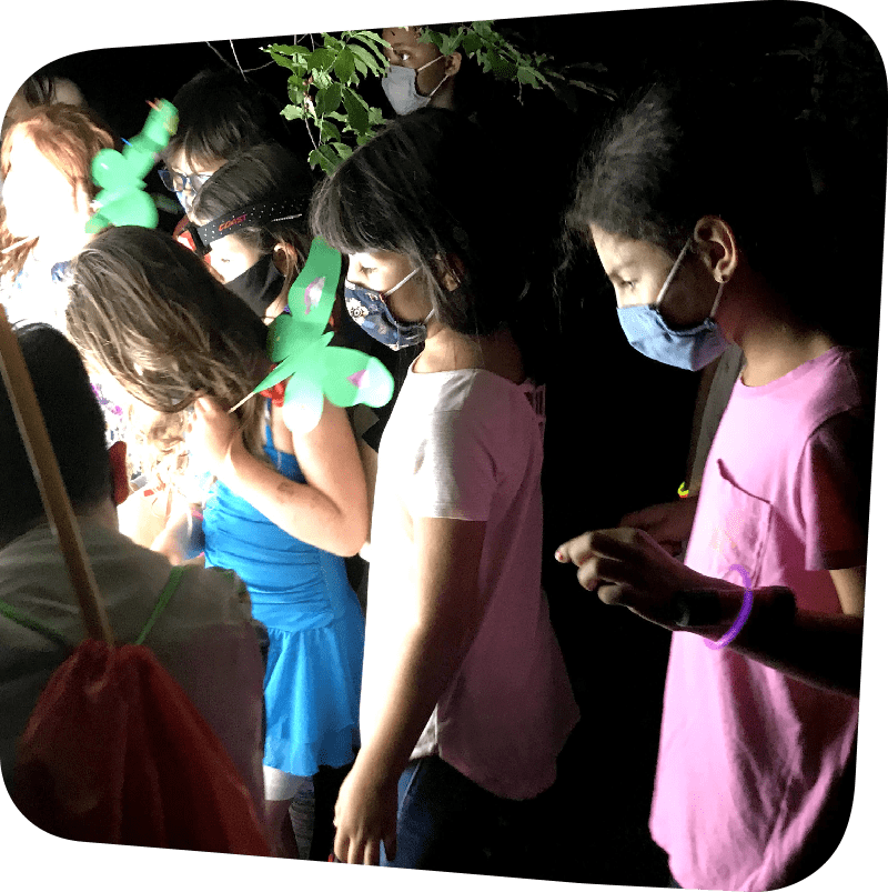 children studying moths at night